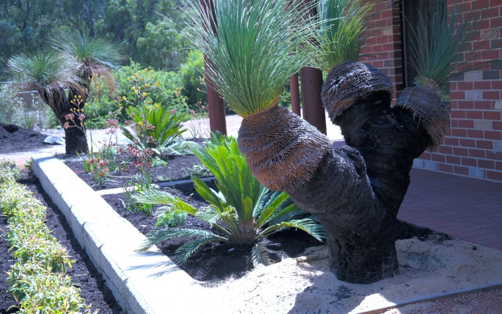 Lakeside Plants & Nursery