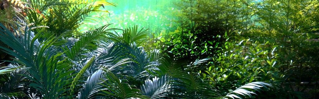 Lakeside Plants & Nursery