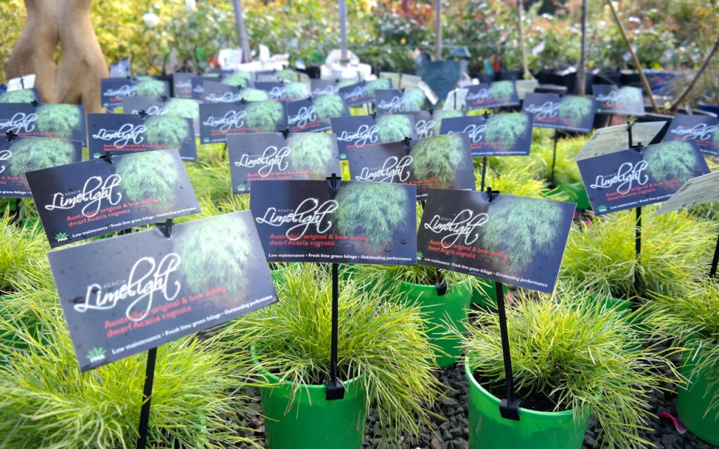 Lakeside Plants & Nursery