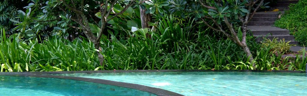 Lakeside Plants & Nursery