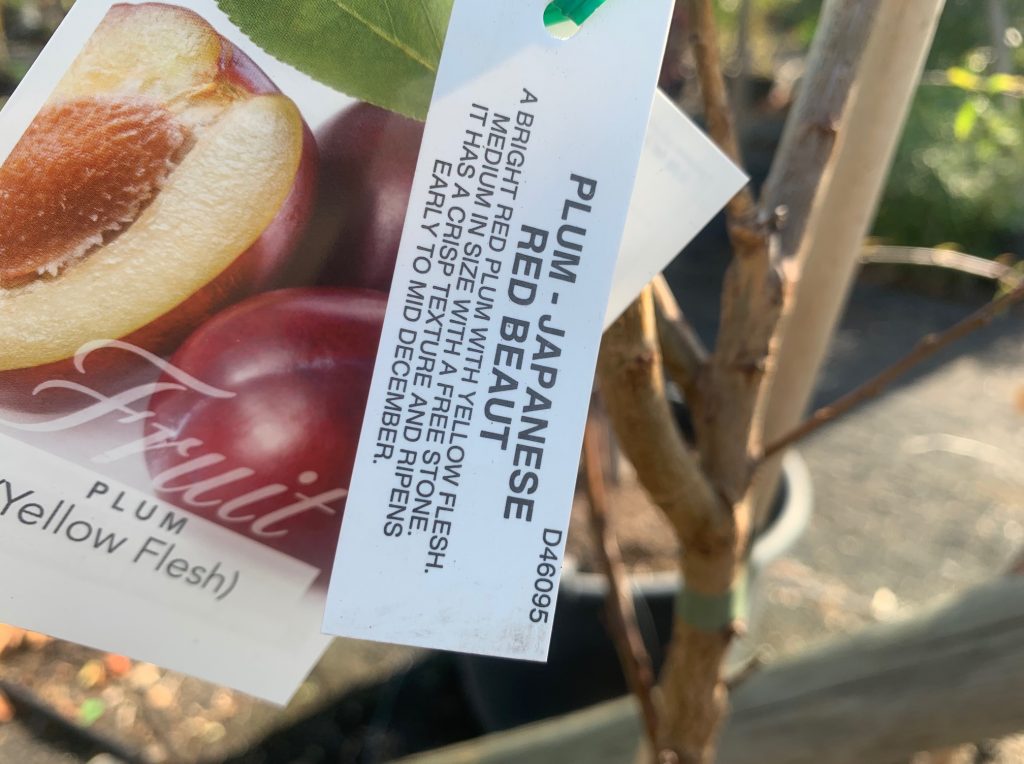 Lakeside Plants & Nursery