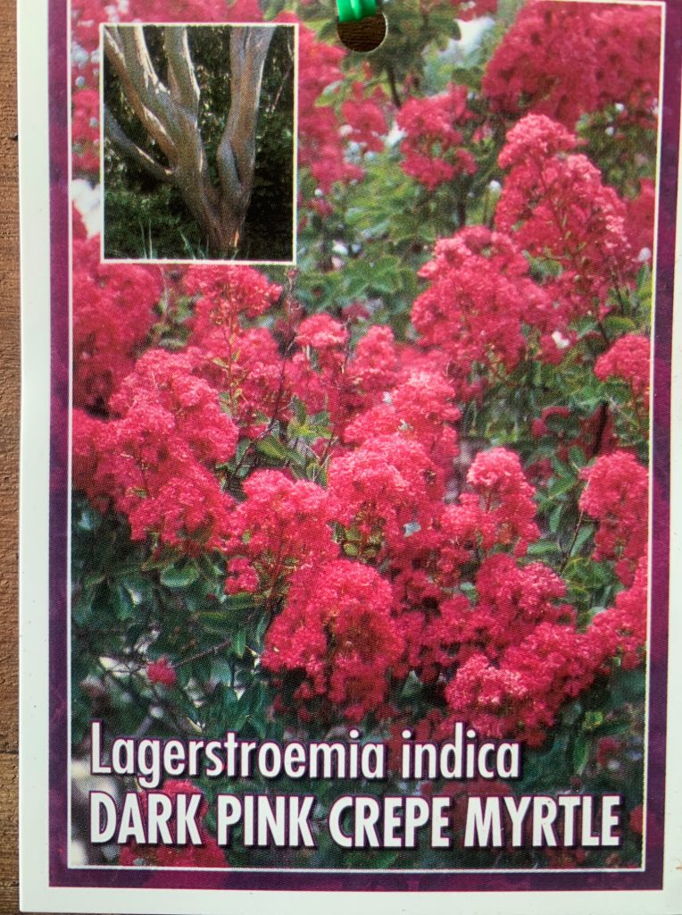 Lakeside Plants & Nursery