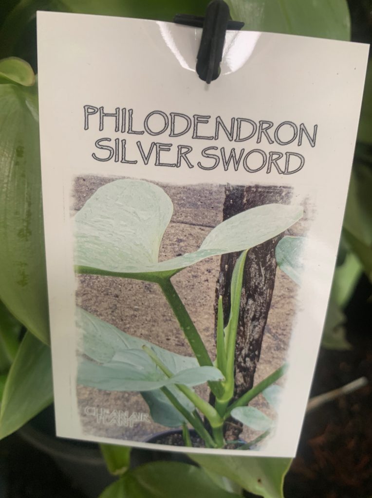 Lakeside Plants & Nursery