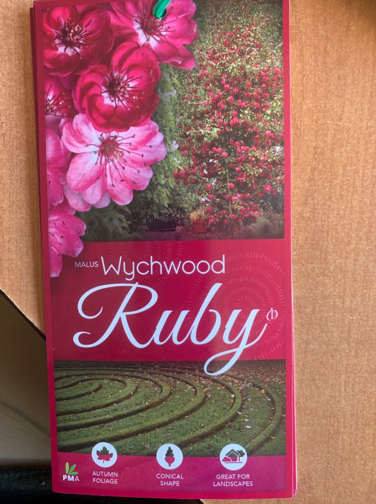 Lakeside Plants & Nursery