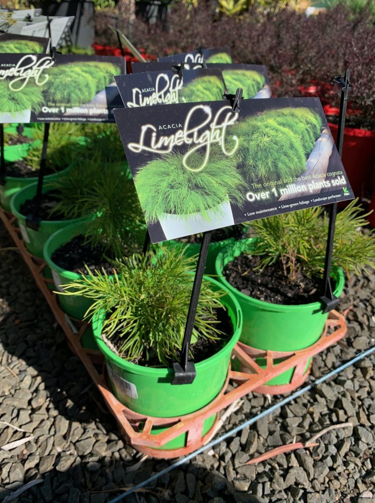 Lakeside Plants & Nursery