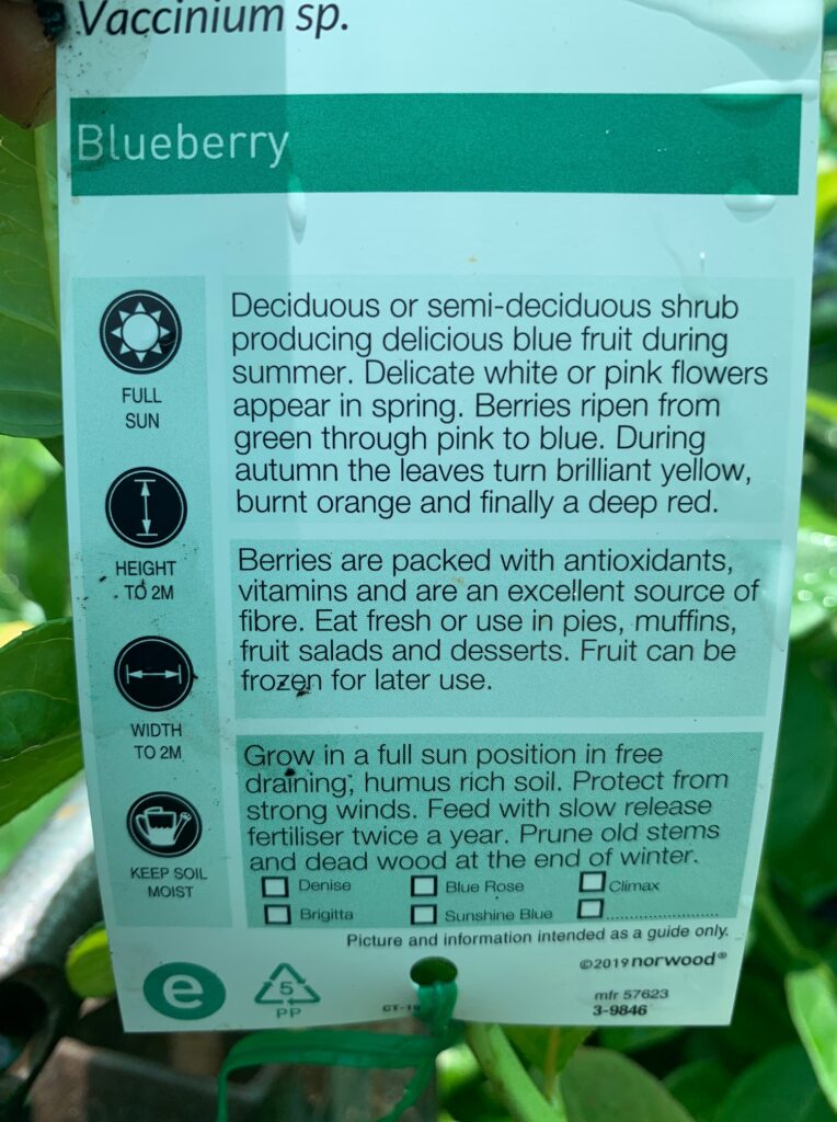 Lakeside Plants & Nursery