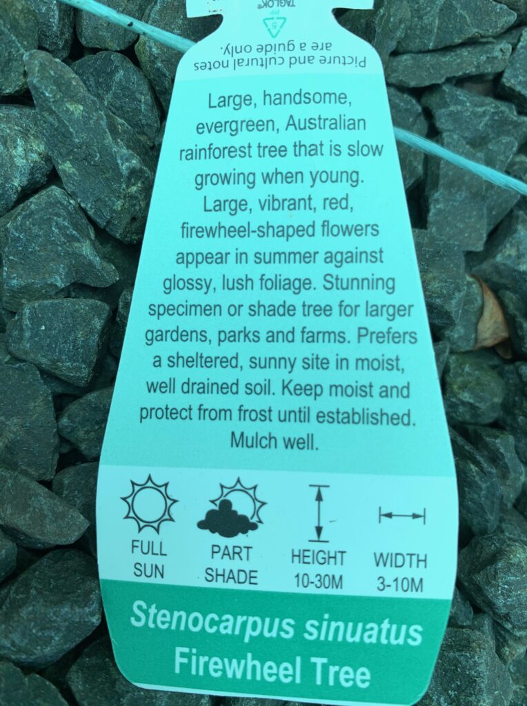 Lakeside Plants & Nursery
