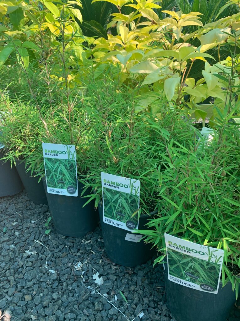 Lakeside Plants & Nursery