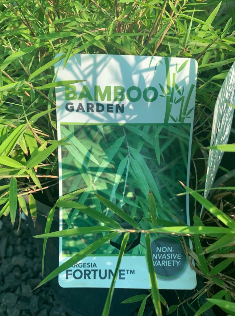 Lakeside Plants & Nursery