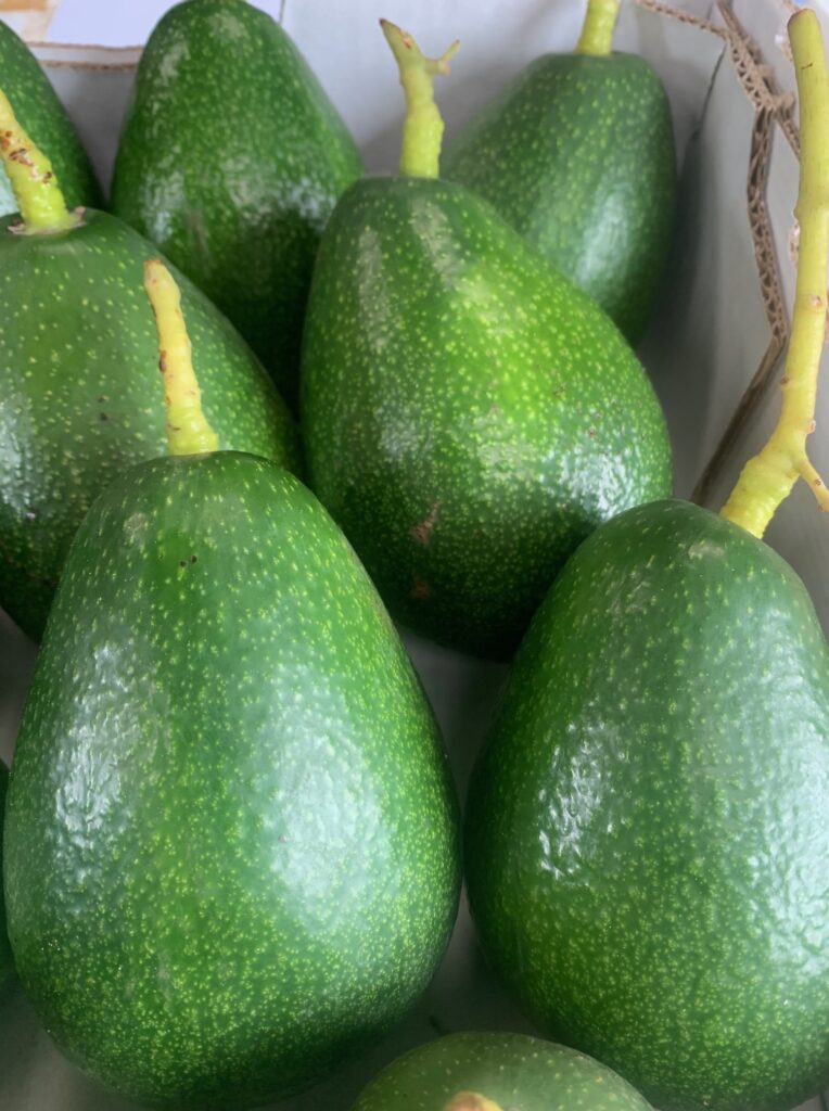 Lakeside Plants & Nursery