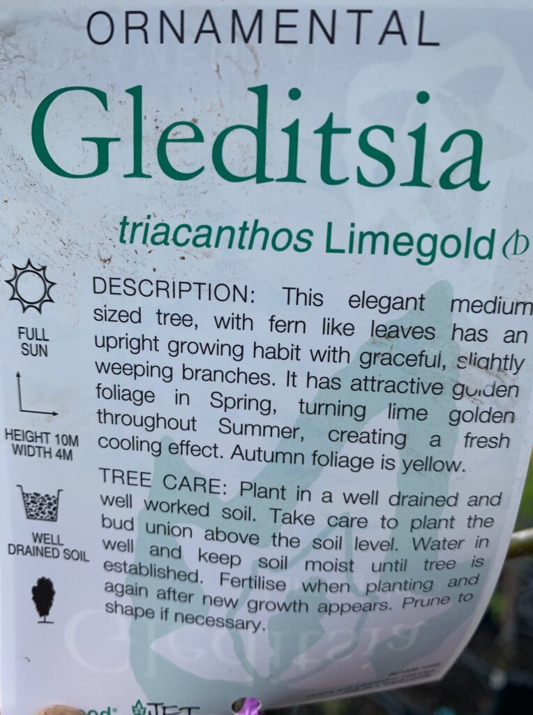 Lakeside Plants & Nursery