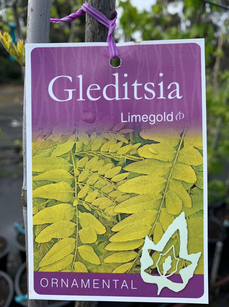 Lakeside Plants & Nursery