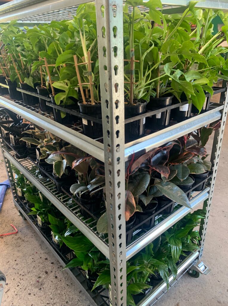 Lakeside Plants & Nursery