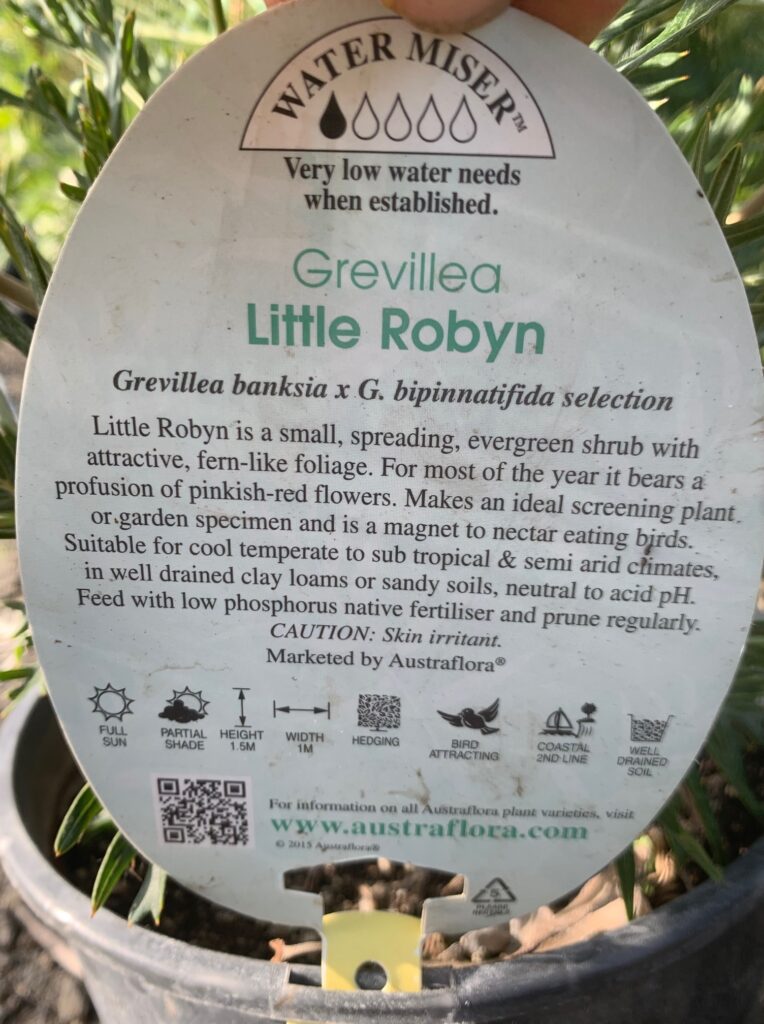 Lakeside Plants & Nursery