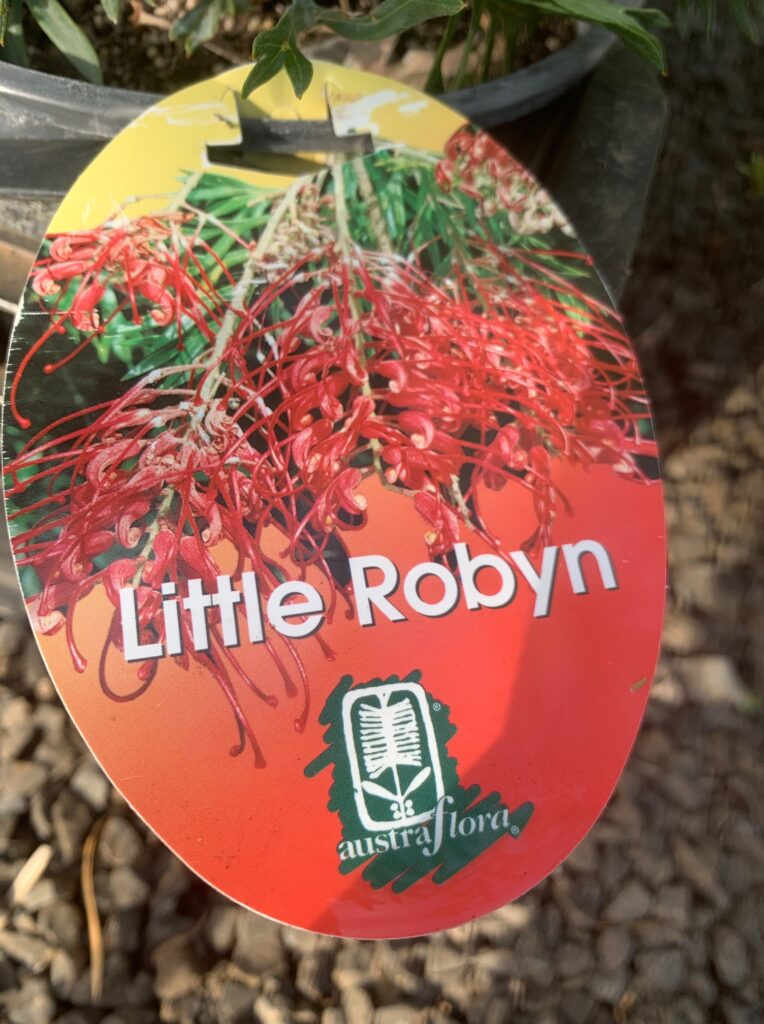 Lakeside Plants & Nursery