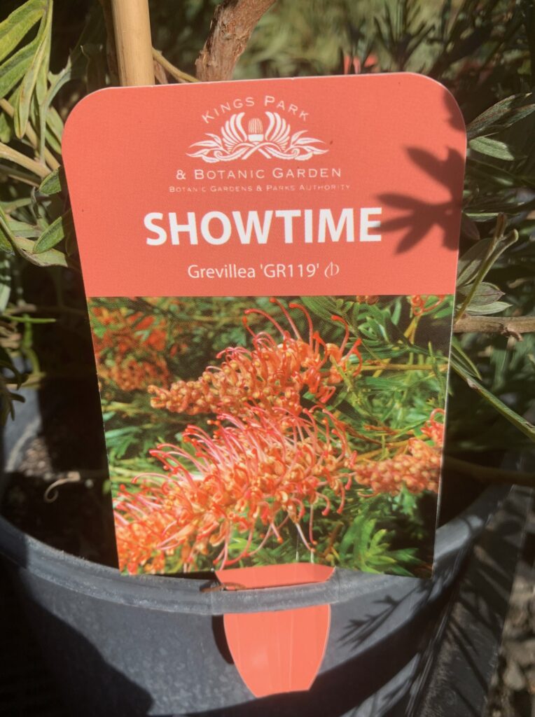 Lakeside Plants & Nursery