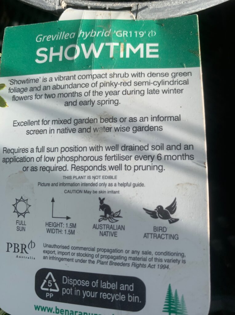 Lakeside Plants & Nursery