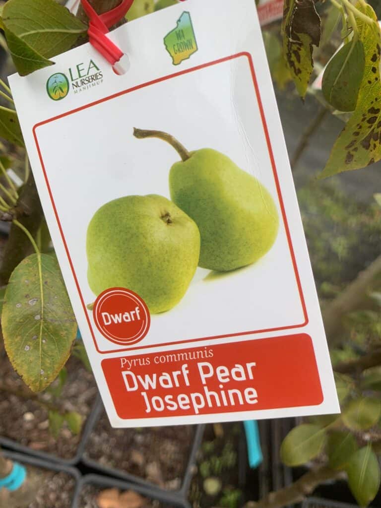 Lakeside Plants & Nursery