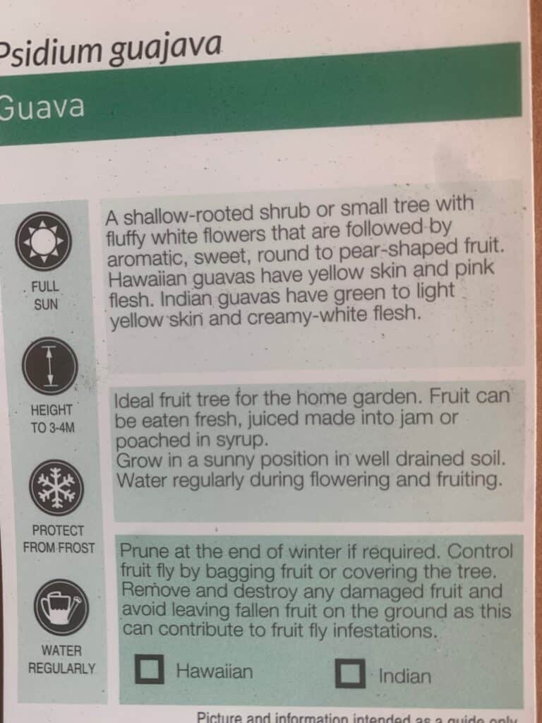 Lakeside Plants & Nursery