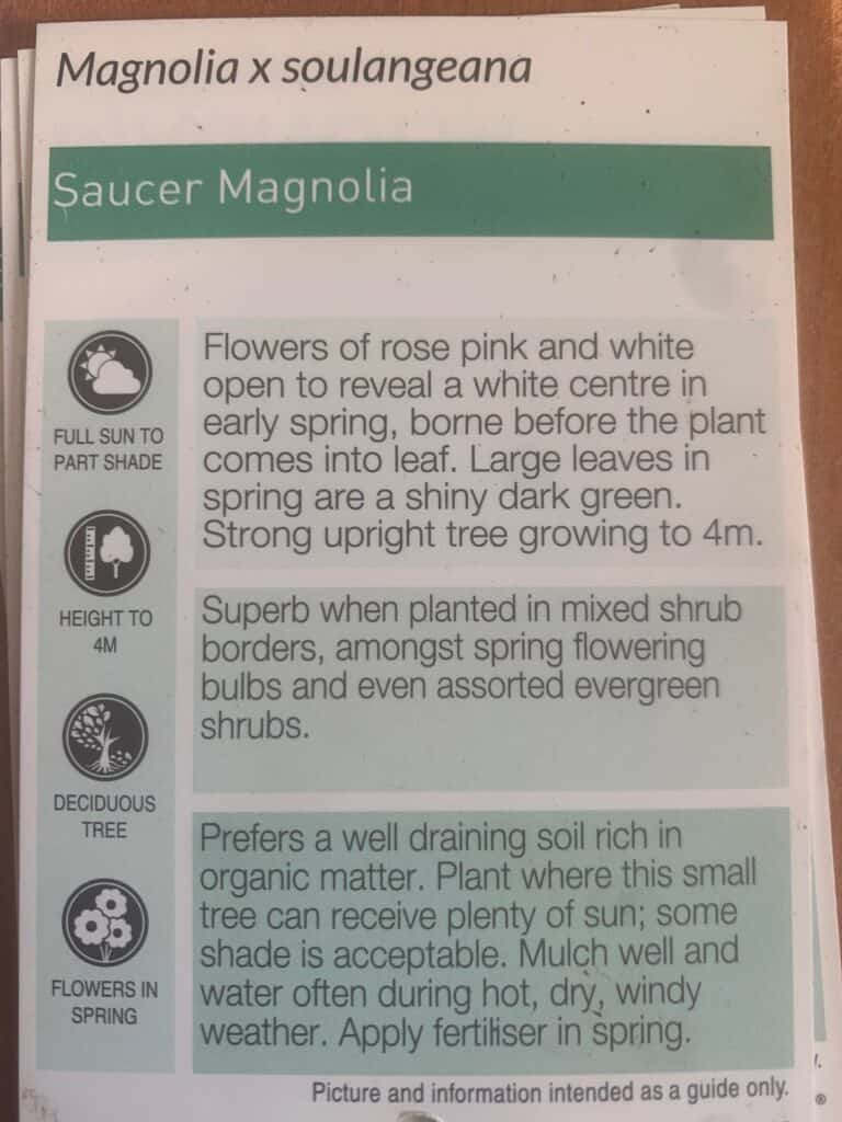 Lakeside Plants & Nursery