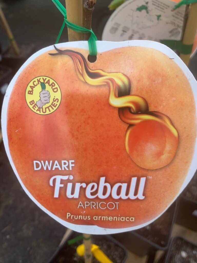 Lakeside Plants & Nursery