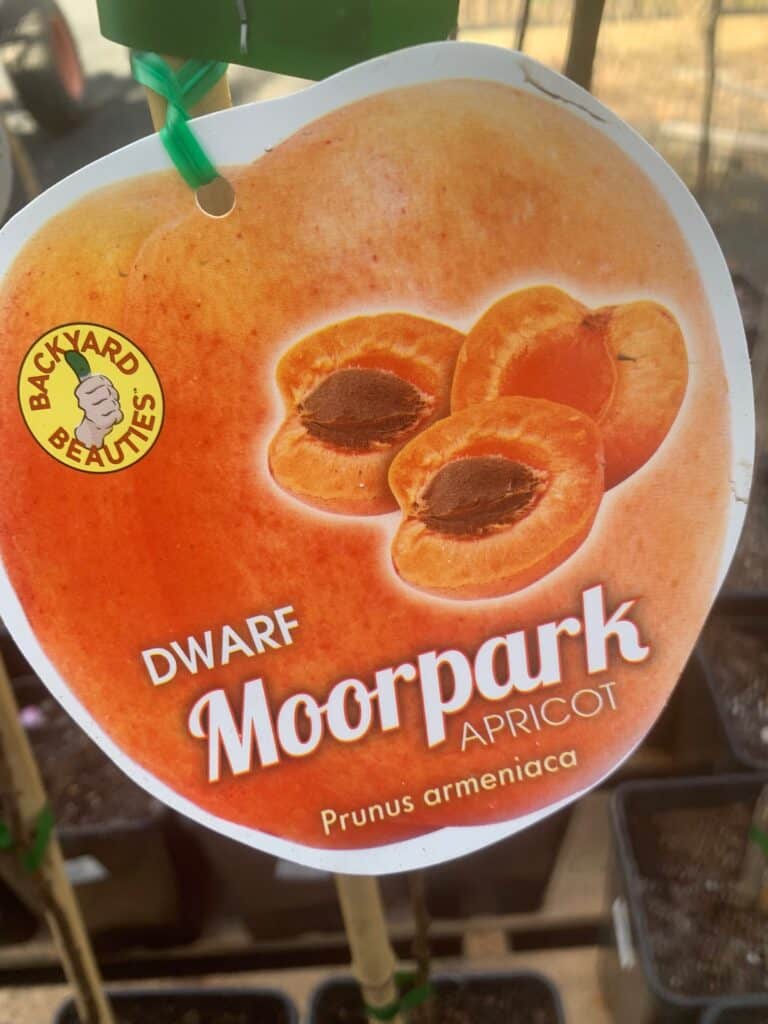 Lakeside Plants & Nursery