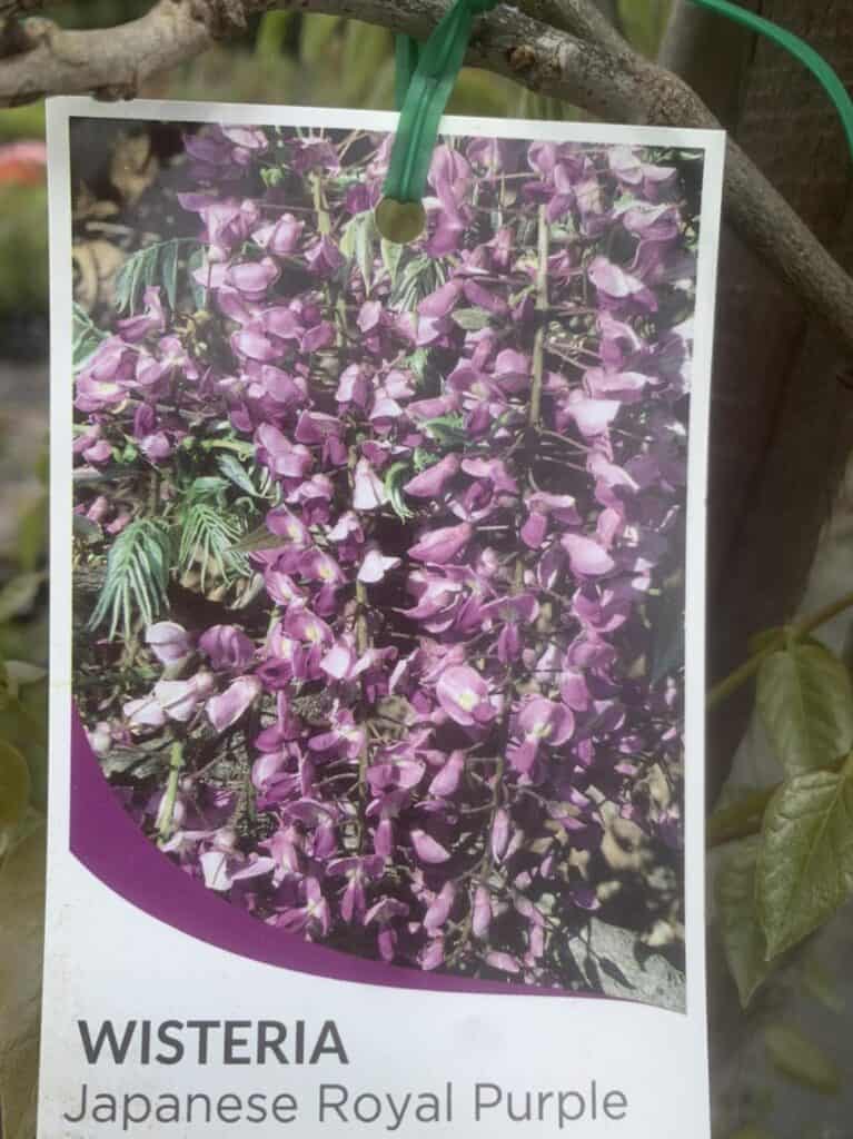 Lakeside Plants & Nursery