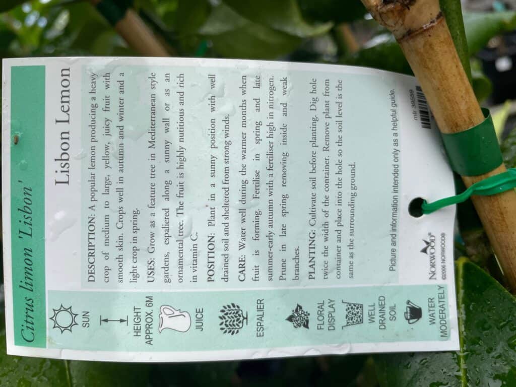 Lakeside Plants & Nursery
