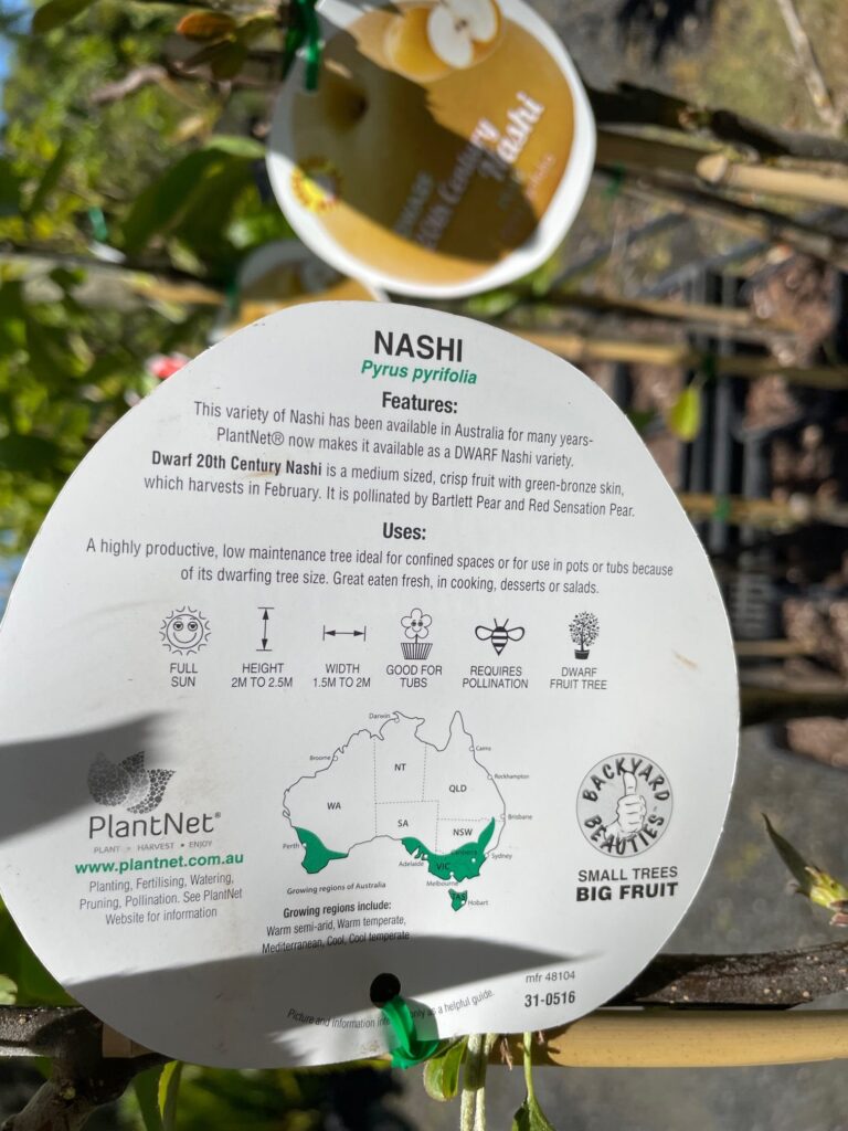 Lakeside Plants & Nursery