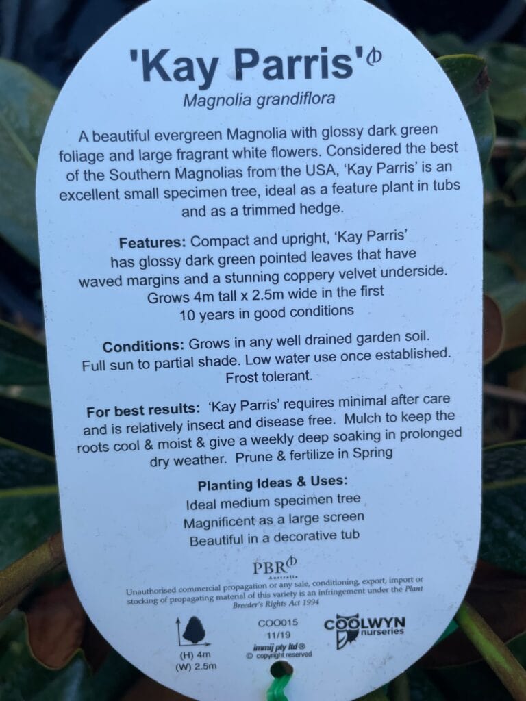 Lakeside Plants & Nursery