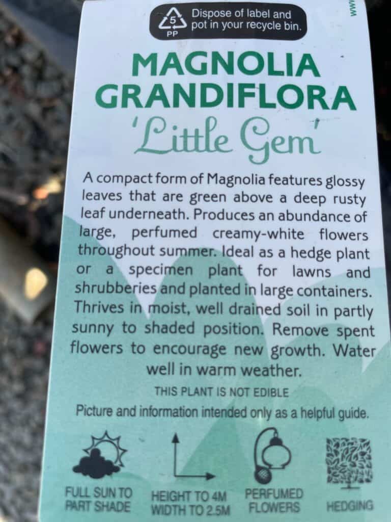Lakeside Plants & Nursery