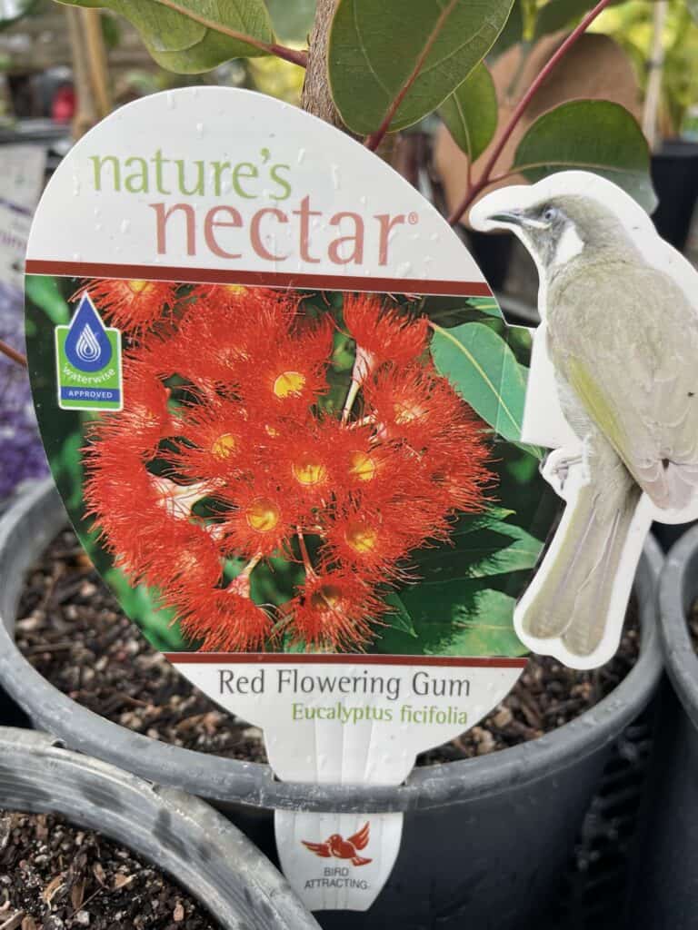 Lakeside Plants & Nursery