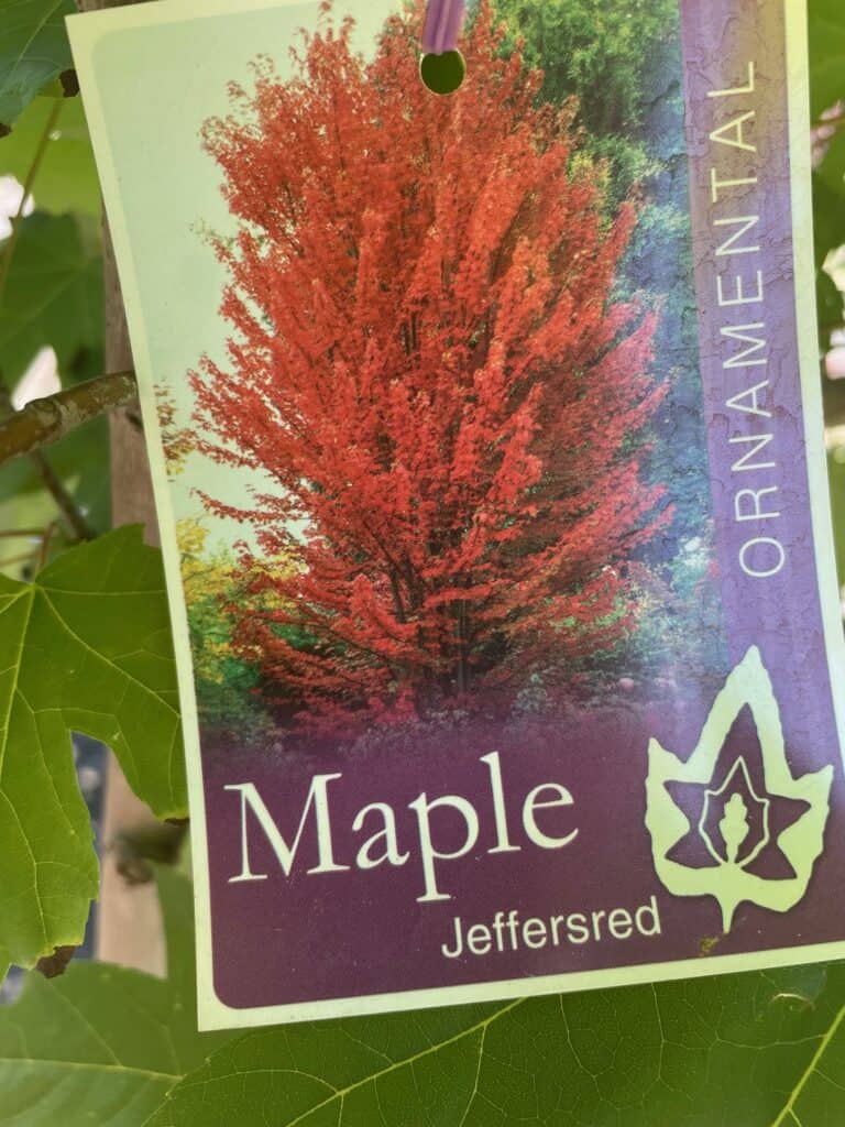Lakeside Plants & Nursery