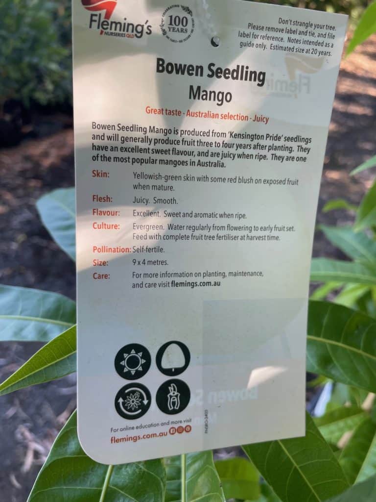 Lakeside Plants & Nursery