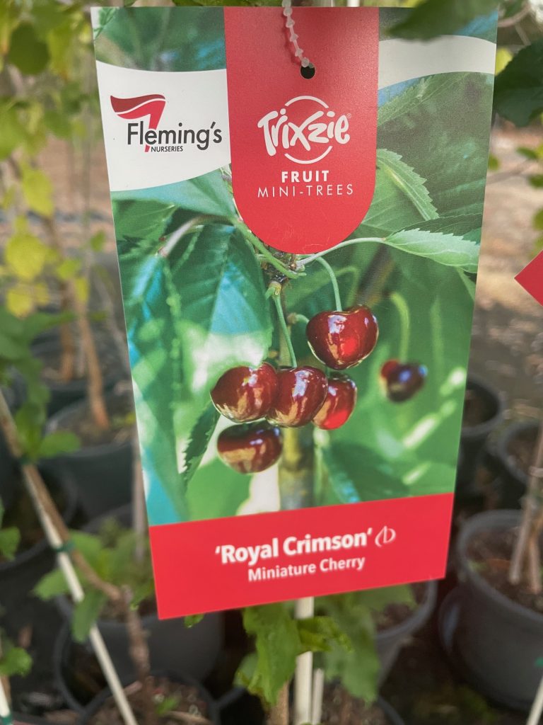 Lakeside Plants & Nursery