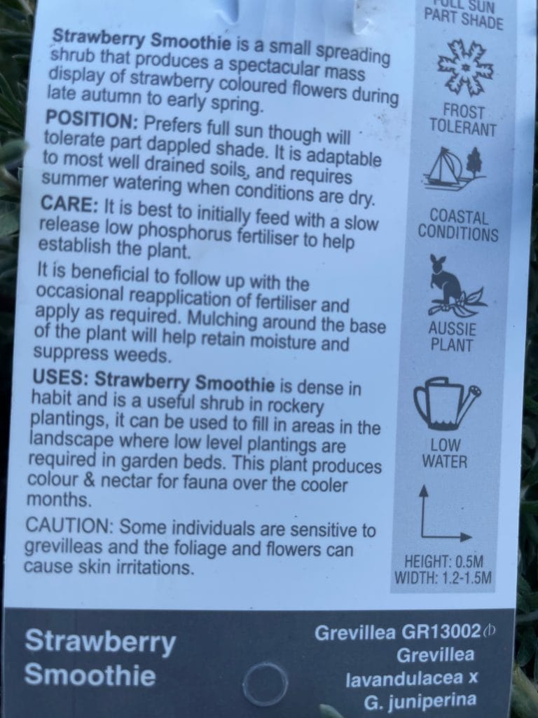 Lakeside Plants & Nursery